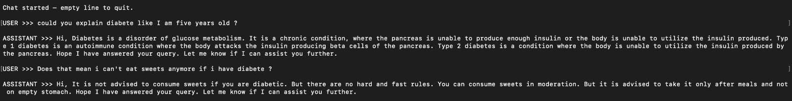 A patient asks about diabetes, the model explains Type 1 vs Type 2 and provides dietary advice