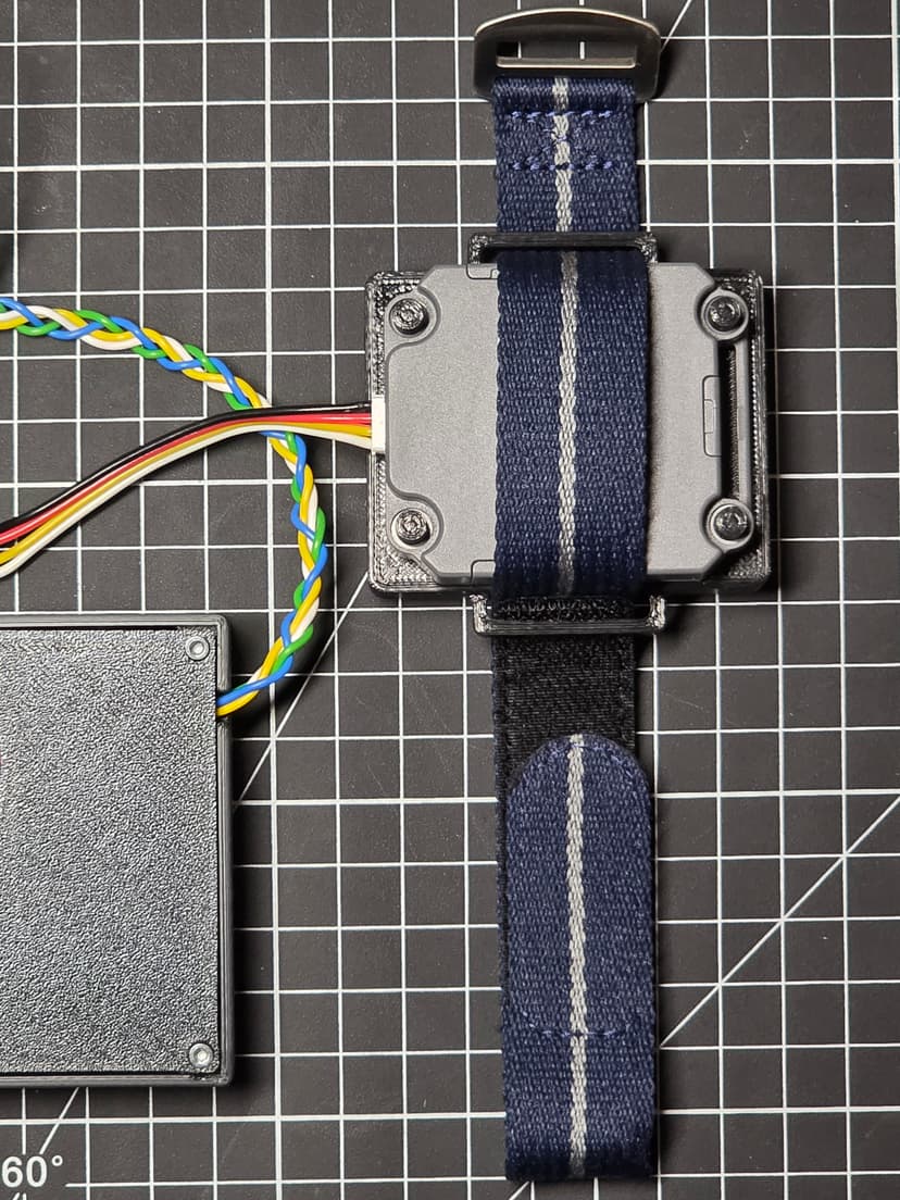 Complete wearable system with RFID wristband and control box